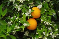 春风拂面时，解锁健康密码，唤醒春日活力