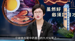 被忽视的健康密码：正气与现代扶正疗法