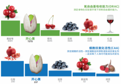 探寻美国开心果在运动营养中的奥秘